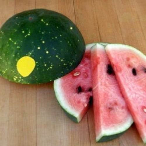 جح القمر والنجوم - Watermelon Moon & Stars