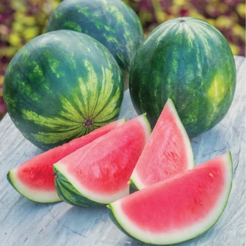 جح صغير - Mini Piccolo Watermelon