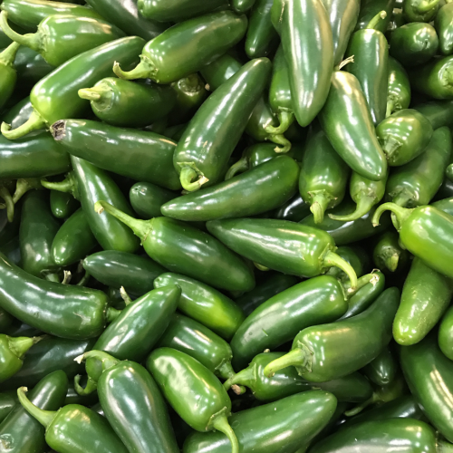 فلفل هالابينيو مبكر - Early Flame Jalapeños Peppers