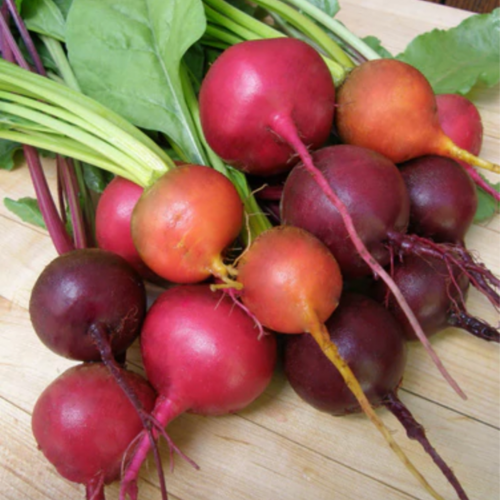 مكس شمندر الجوهرة - Jewel Toned Beets