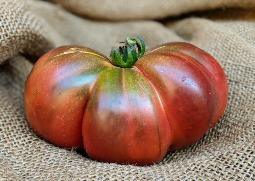Heirloom Tomato Seeds - 'Brandywine Black