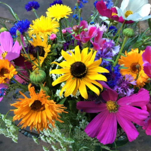 مكس مربي النحل تزهير مبكر - Early Blooming Beekeeper's Mix