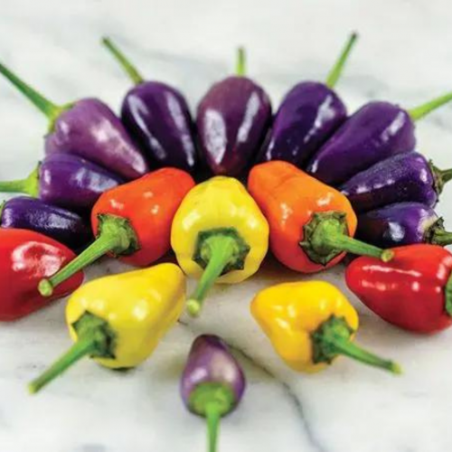 فلفل الـ5 ألوان الصينى الحار - Chinese 5 Color Hot...