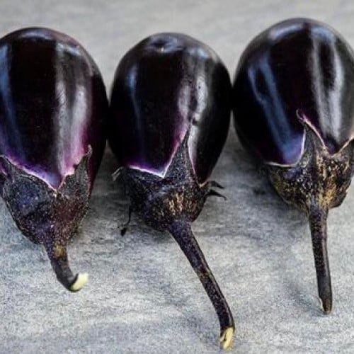 باذنجان ياباني سينشو كينوكاوا ميزو - Senshu Kinukawa Mizu Eggplant