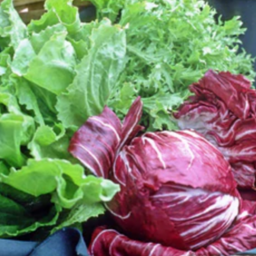 مكس ورقيات الشتاء المقرمشة - Crispy Winter Greens