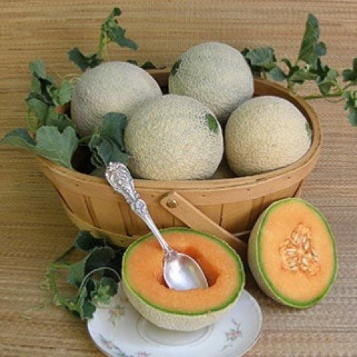 شمام صغير مكعبات السكر - Mini Cantaloupe Sugar Cube