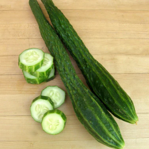 خيار صيني طويل - Chinese Cucumber Suyo Long