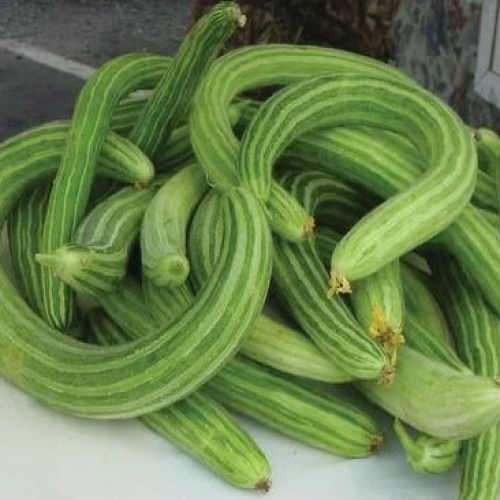 طروح خيار أرميني طويل - Armenian Yard-Long Cucumber