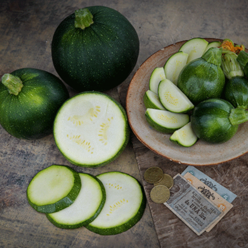 كوسه مدورة - Tondo Scuro Di Piacenza Squash