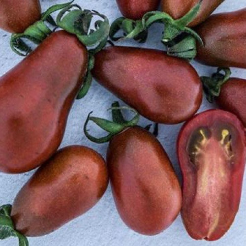 طماطم الكمثرى شوكولاتة - Chocolate Pear Tomato