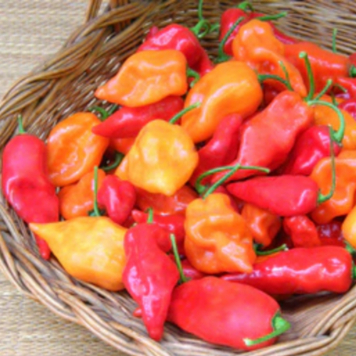 مكس فلفل هابانيرو معتدل - Mild Habanero Chiles