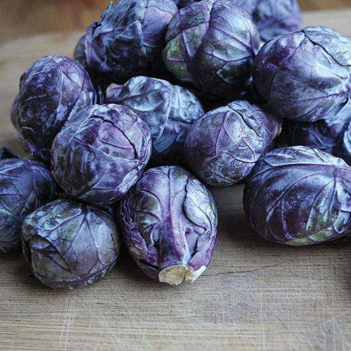 براسل سبروات بنفسجي - Red Bull Brussel Sprouts