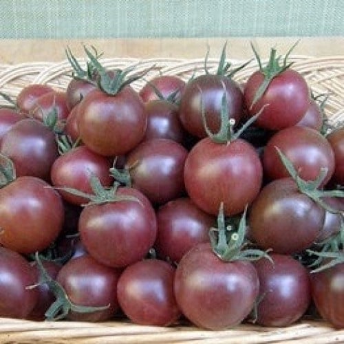 طماطم كرزي أسود - Black Cherry Tomato