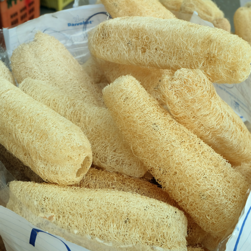 قرع اللوفا - Gourds Bath Loofah