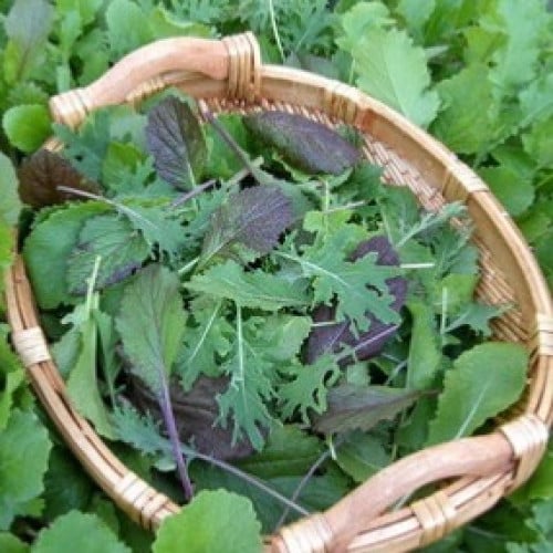 مكس ورقيات الطهي السريع - Quick Stirfry Blend