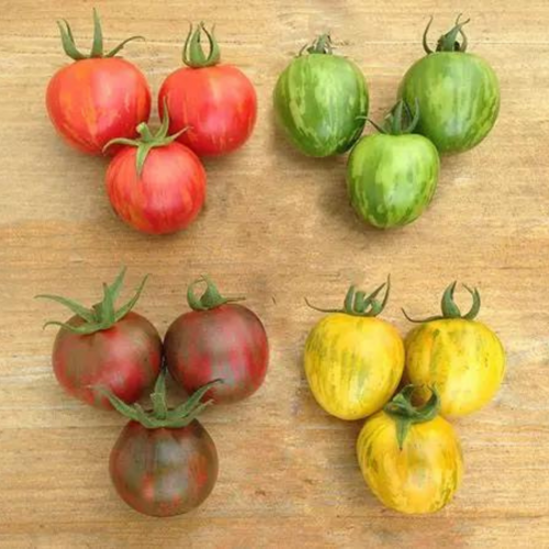 مكس طماطم كرزي ألوان الفن - Vernissage Art Colors Mix