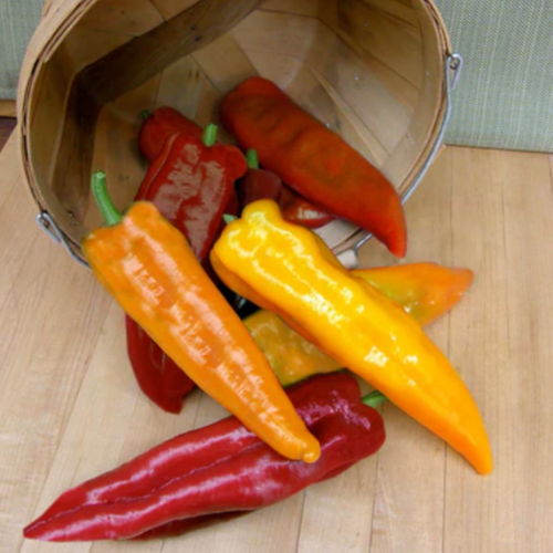 مكس فلفل ايطالي حلو غروب الشمس - Sunset Mix Italian Sweet Peppers