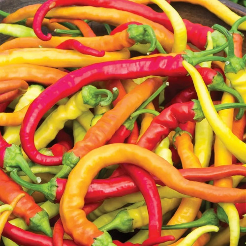 فلفل الشيء الحلو - Sweet Thing Pepper