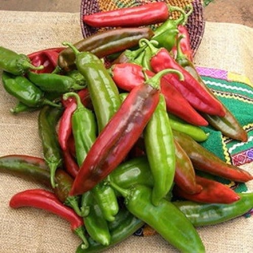 فلفل نومكس - Chile NuMex Joe E Parker