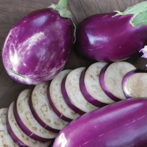 باذنجان روزيتا - Rosita Eggplant