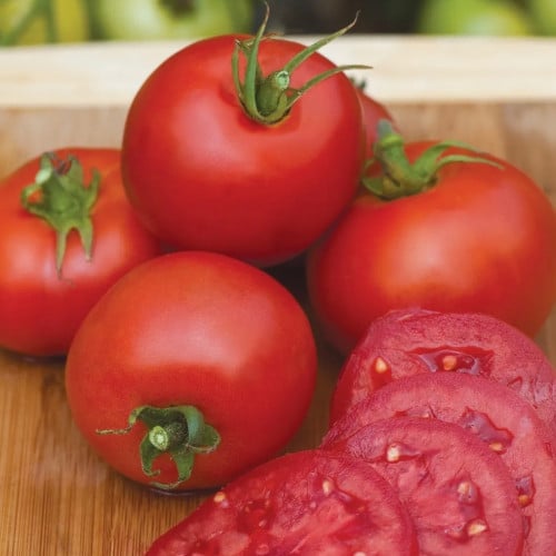 طماطم ملكة القلوب - Queen of Hearts Tomato