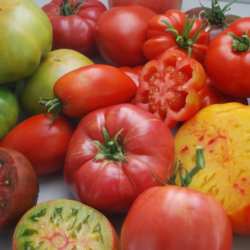 مكس طماطم الذواقة - Tomato Gourmet Slicing Mixture