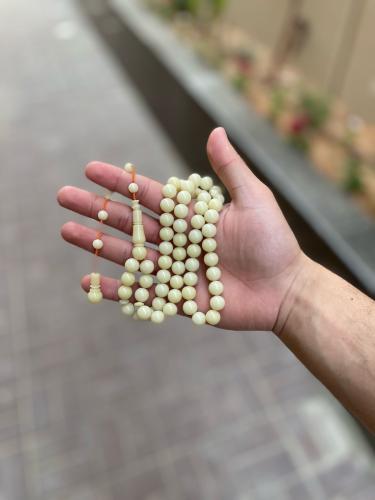 مسباح دومنه ( تمليكه )