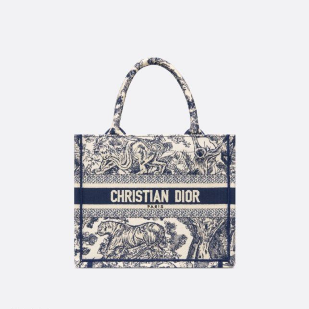 Small Dior Book Tote 26.5cm