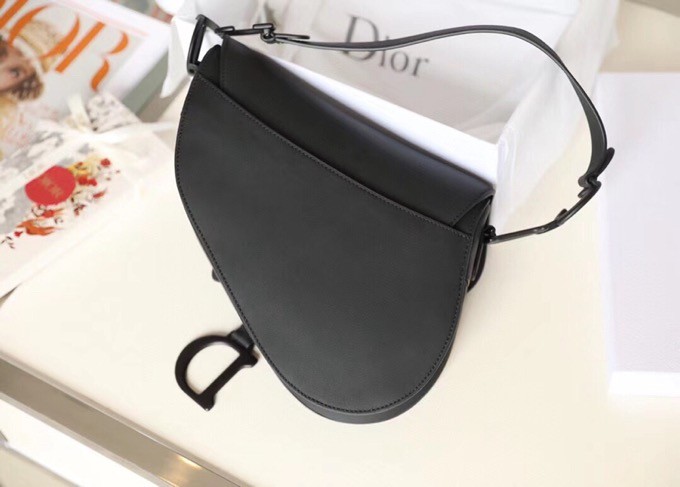 Dior SADDLE BAG 25.5cm