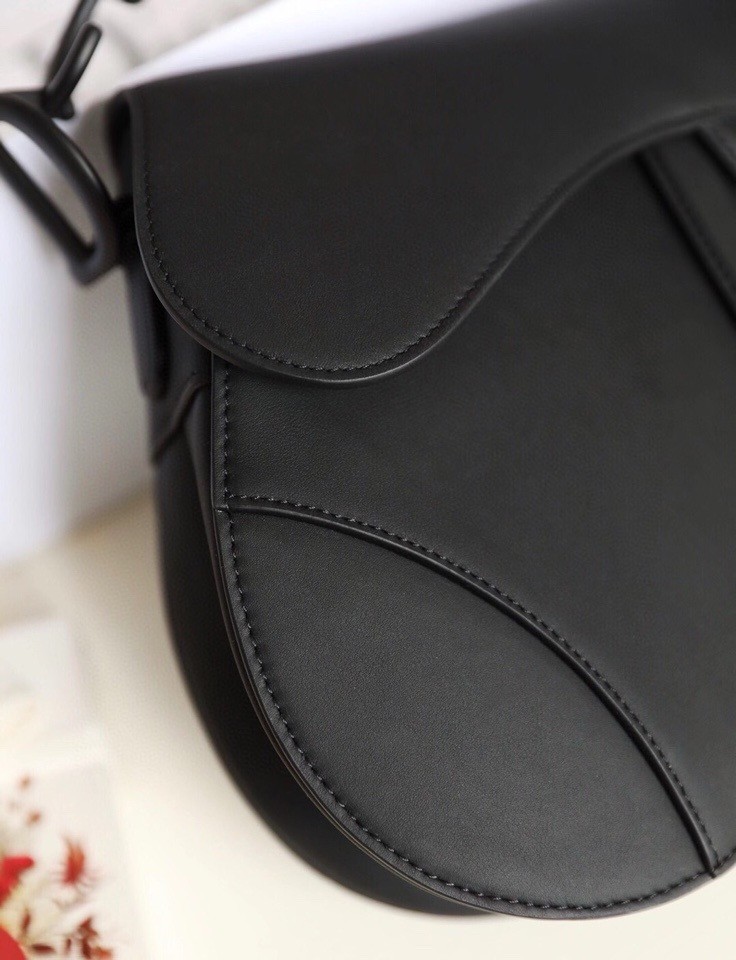 Dior SADDLE BAG 25.5cm