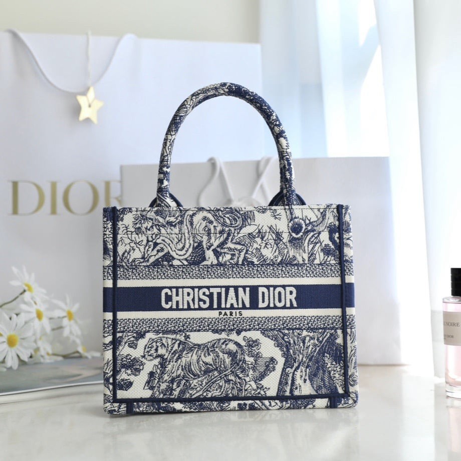 Small Dior Book Tote 26.5cm