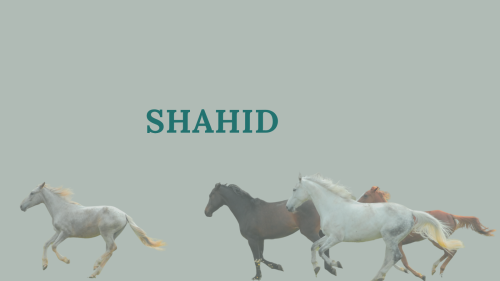 اشتراك شاهد شهر