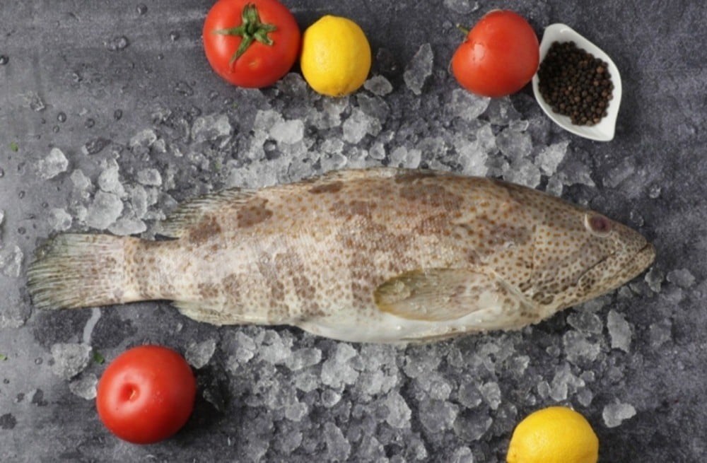 Enjoy the taste of the sea: Fresh fish adventure in Jeddah with Samakha