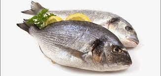 Your comprehensive guide to choosing and preparing fresh fish: tips from “Samakha” for a delicious experience