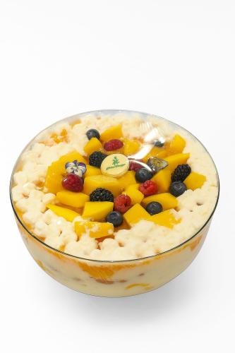 ترافل منجا كبير