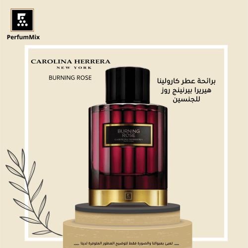Burning Rose