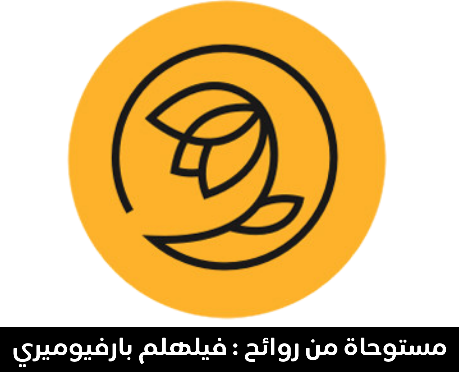 فيلهلم بارفيوميري | بيرفومكس