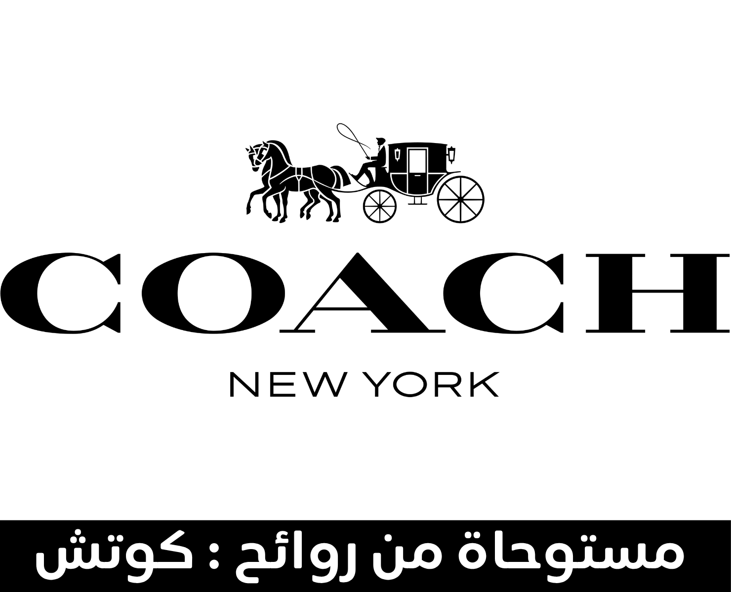 كوتش | بيرفيومكس