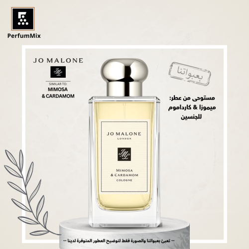 ميموسا & كارداموم