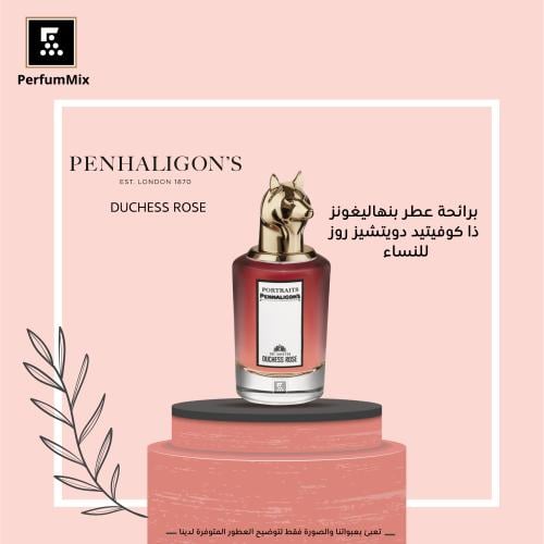 The Coveted Duchess Rose