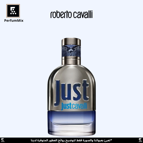 Just Cavalli for Him