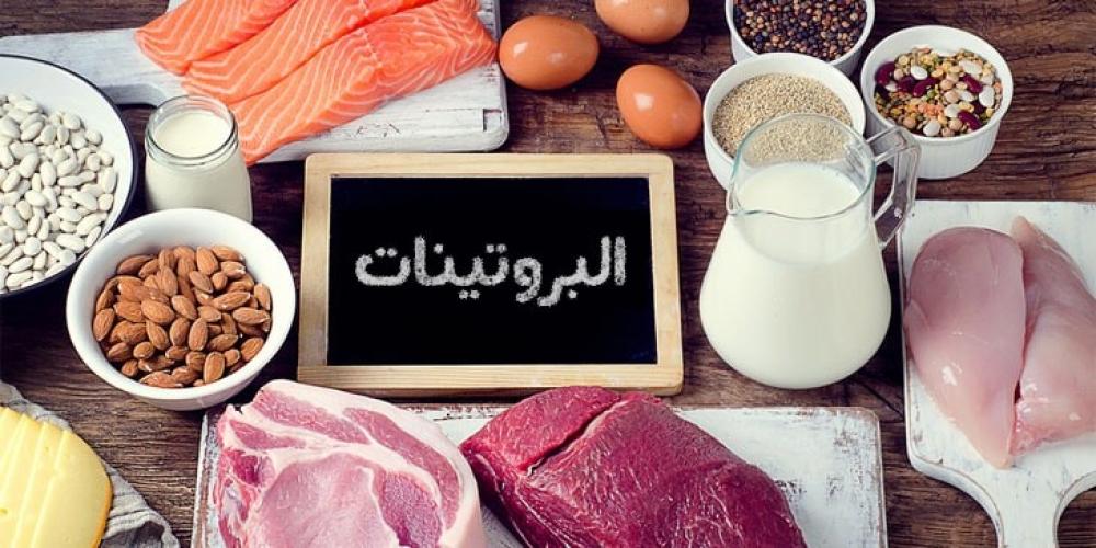 أفضل مصادر البروتين لبناء العضلات
