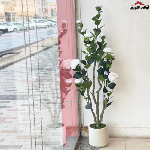 فازة زهور أبيض