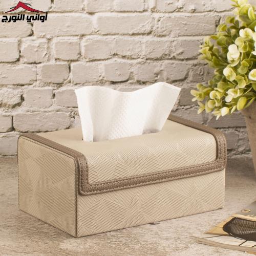 علبة مناديل بيج