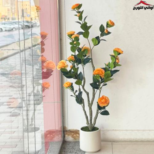 فازة زهور برتقالي