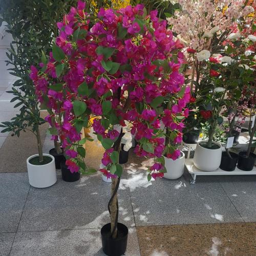 شجرة الجهنمية