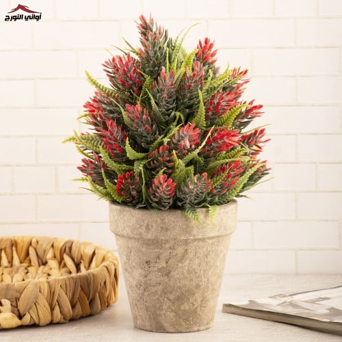 فازة شجرة الصنوبر أحمر