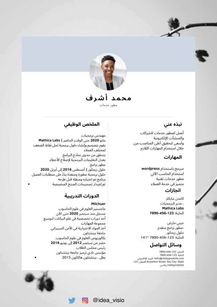 سيرة ذاتية باللغة العربية والإنجليزية رؤية فكرة خدمات الأعمال