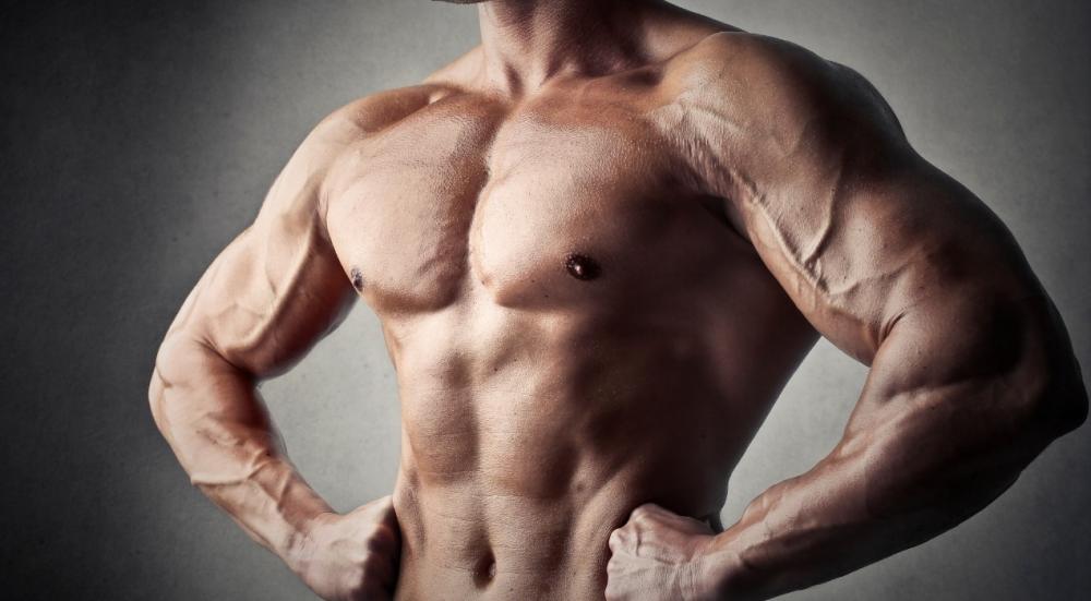 كيف يمكن تضخيم العضلات