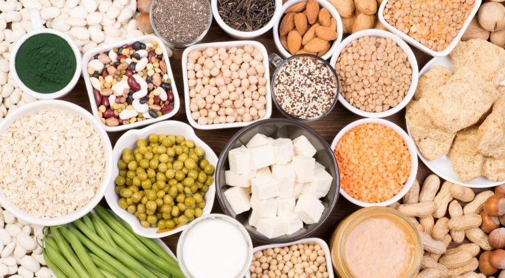 مصادر البروتين النباتي